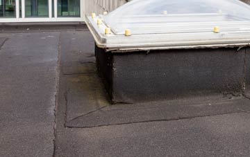 disadvantages of Trekeivesteps flat roofs