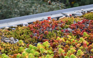 the cost of Trekeivesteps green roof installation